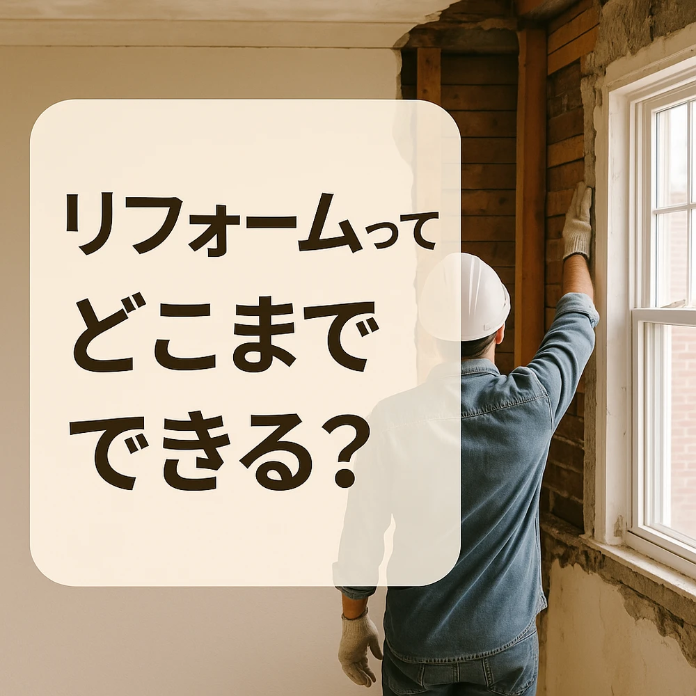 画像8534